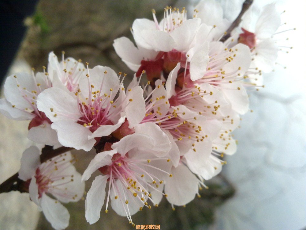 20120402566.jpg
