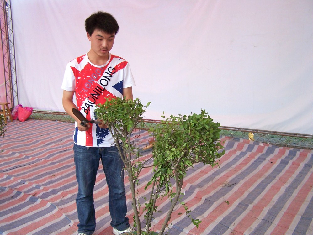 100_6847.JPG