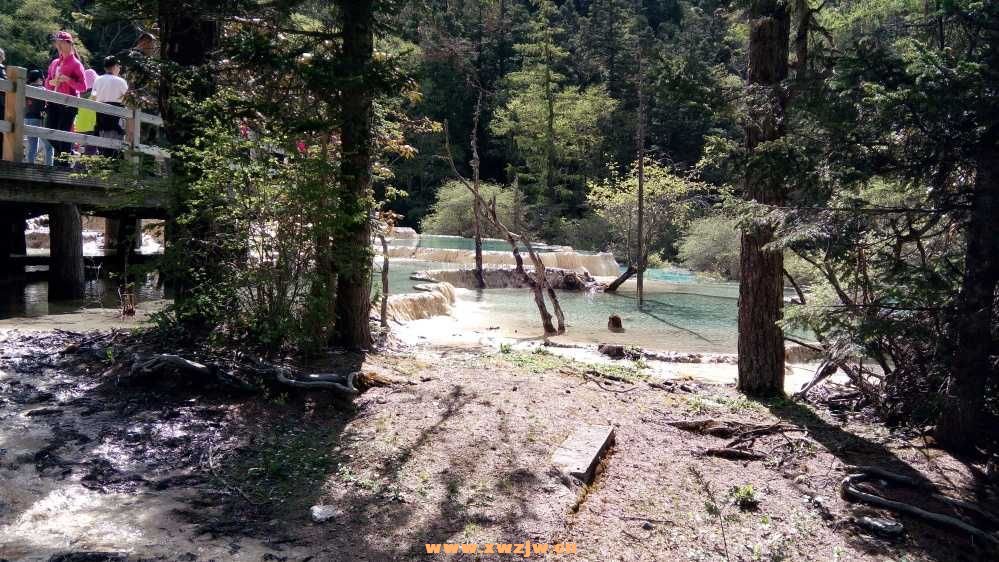 DSC_0686.JPG