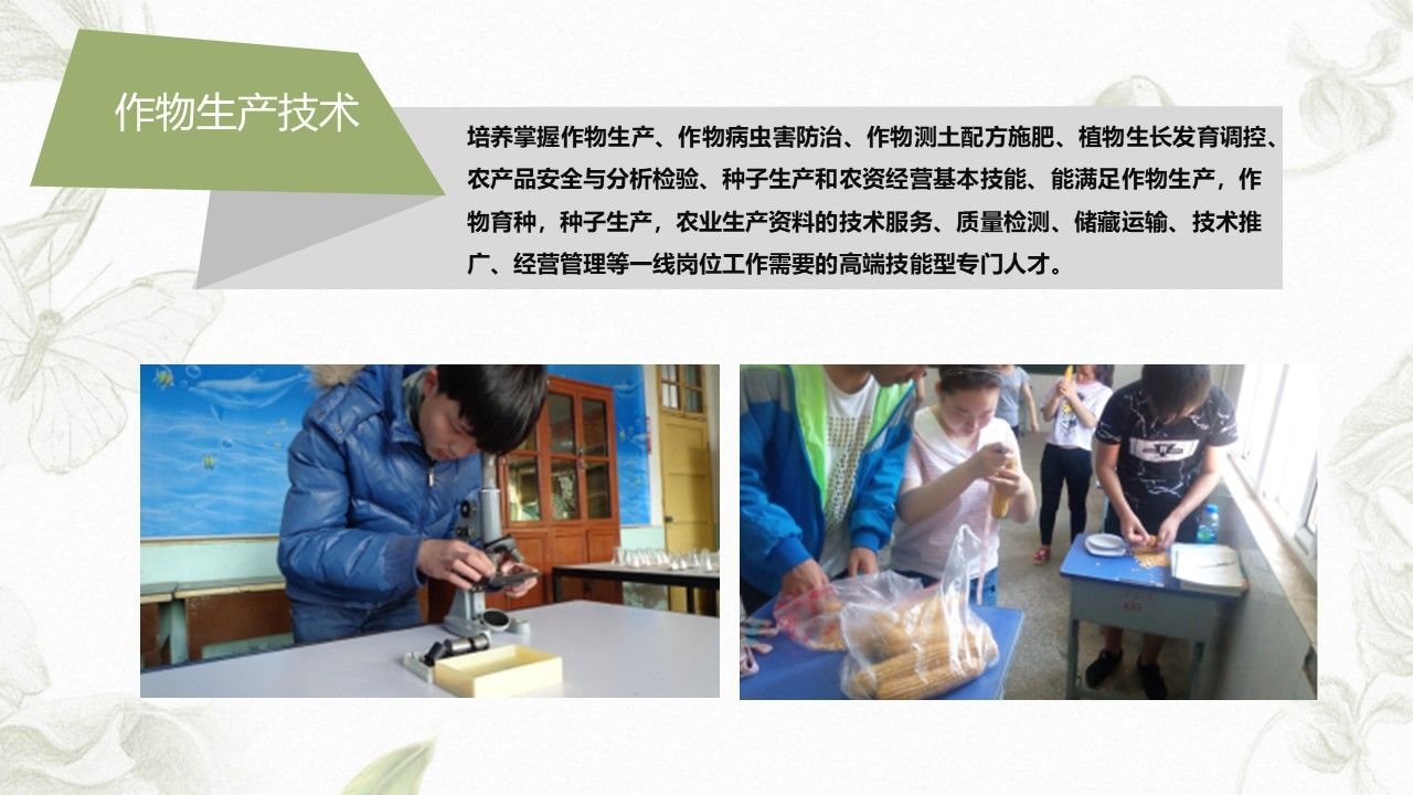 幻灯片9.JPG