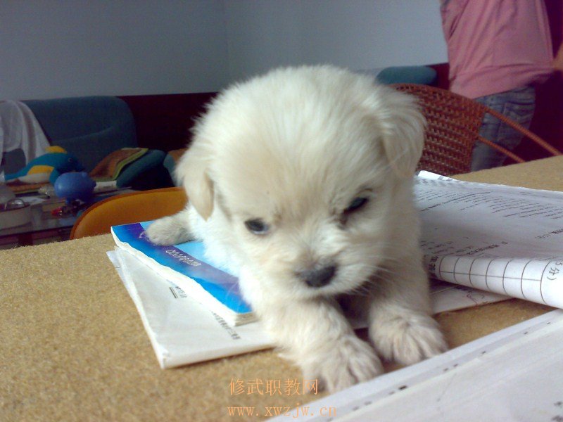 20090808272.jpg