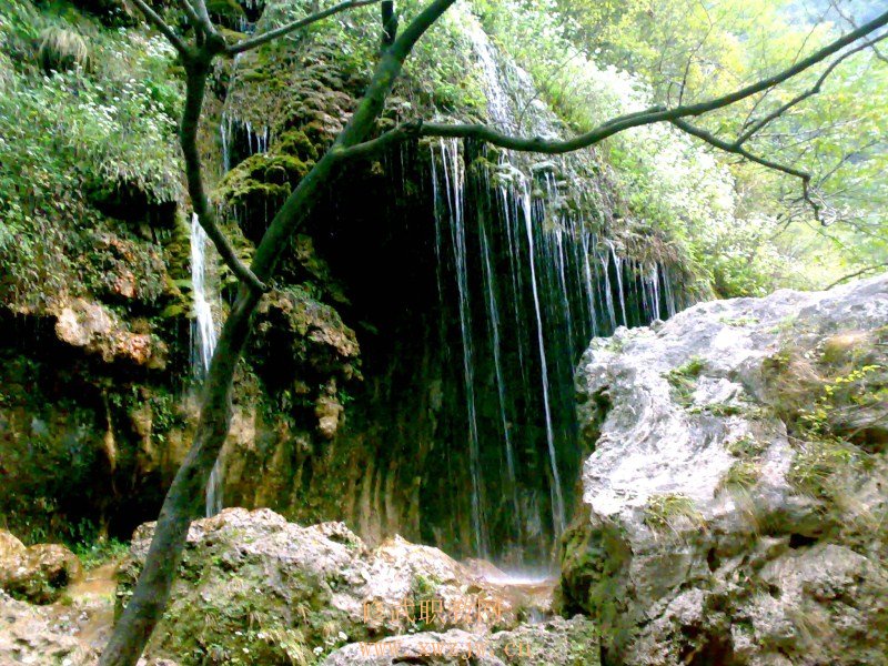 20091004070.jpg