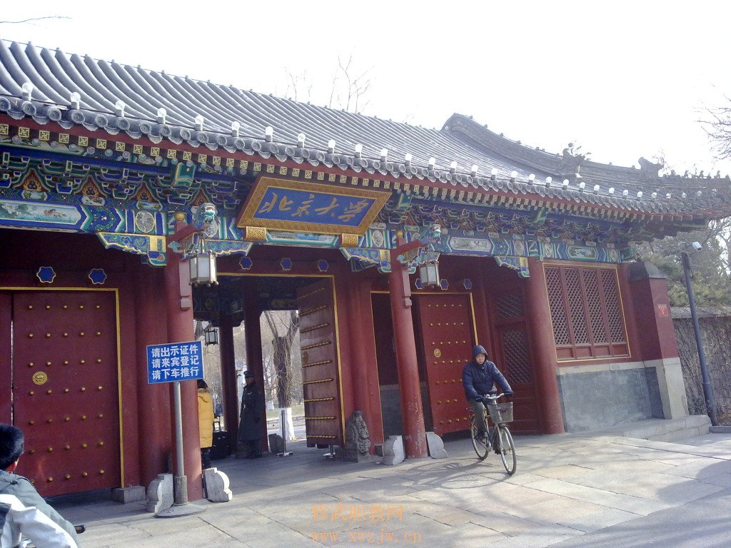 20110113050.jpg