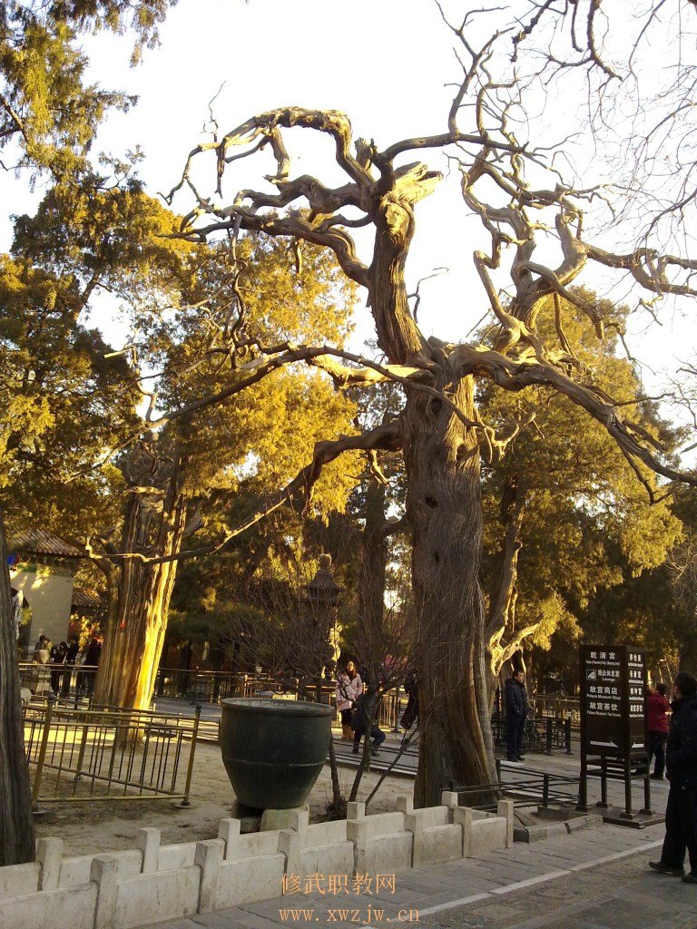 20110118107.jpg